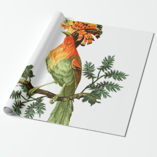 Papel De Presente Pássaro do Paraíso e flores exóticas em uma bas