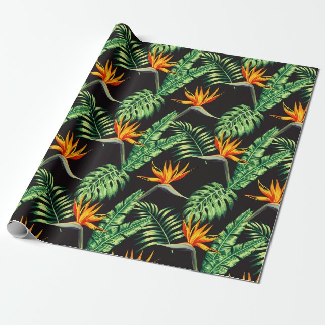 Papel De Presente Pássaro Elegante do Paraíso Tropical Wrapping (Desenrolado)
