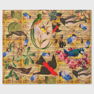 Papel De Presente PÁSSAROS DA PRIMAVERA, PENAS, FRUTAS Notas Musicai