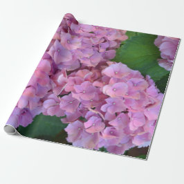 Papel De Presente Pastel rosa Hortensia hydrangea floresce