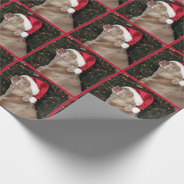 Papel De Presente Patas do papai noel - estilo de Weimaraner - papel (Ponta)