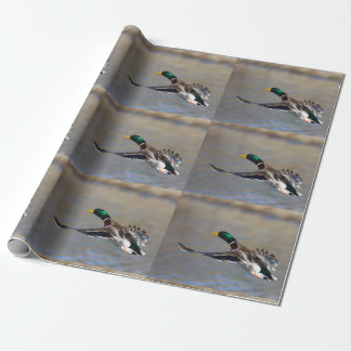 Papel De Presente pato em vôo
