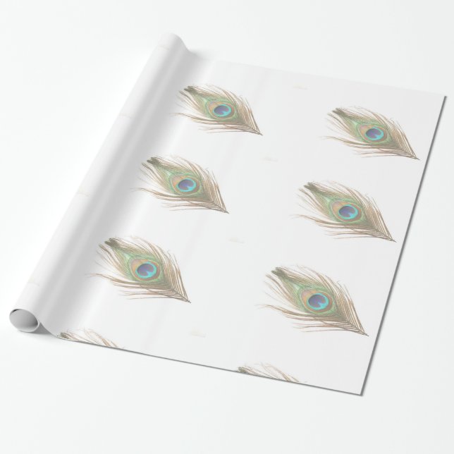 Papel De Presente Peacock Feather (Desenrolado)