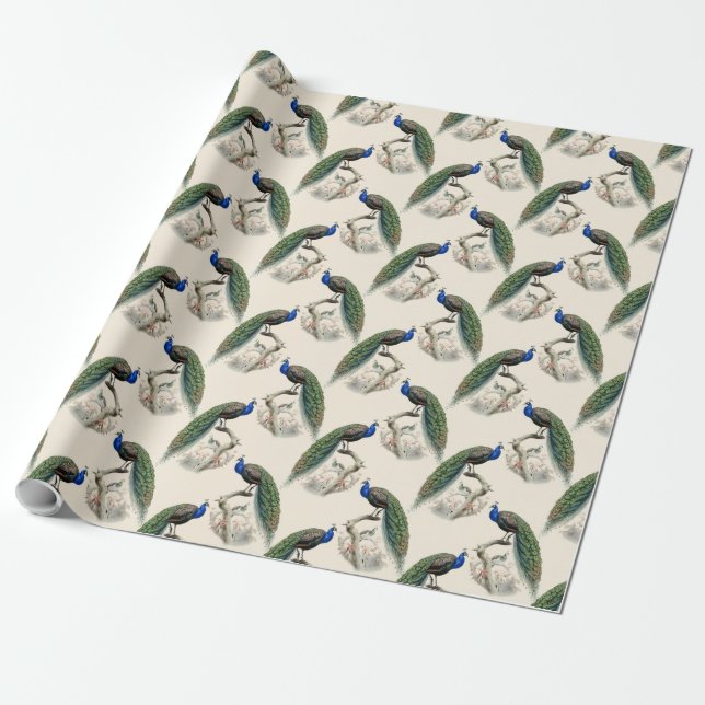 Papel De Presente Peacock Impressão (Desenrolado)