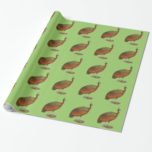 Papel De Presente Peafowl do Congo (Desenrolado)