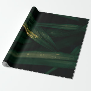 PAPEL DE PRESENTE PEDAÇOS DE ÁGUA NA FOLHA VERDE