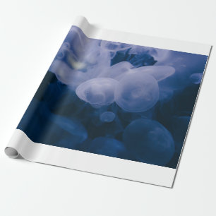 PAPEL DE PRESENTE PEIXE AZUL E BRANCO NA ÁGUA