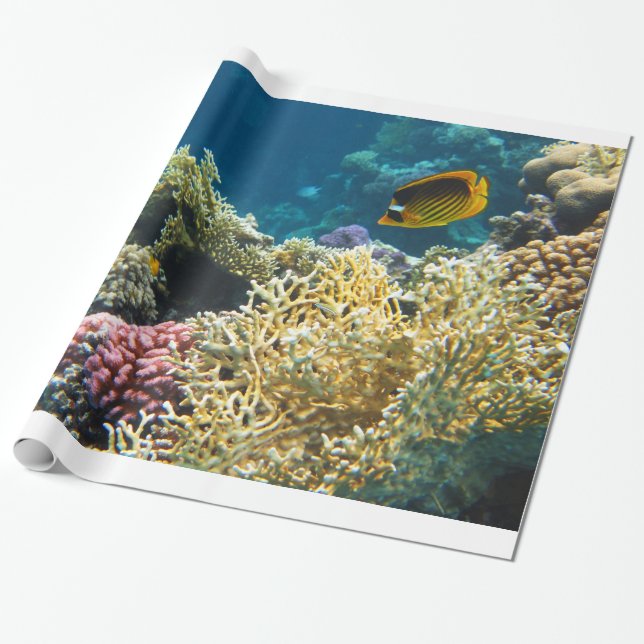 Papel De Presente Peixes amarelos e pretos da borboleta (Desenrolado)