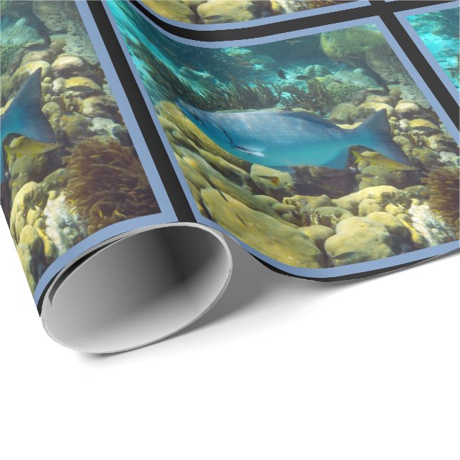 Papel De Presente Peixes do recife (Ponta do rolo)