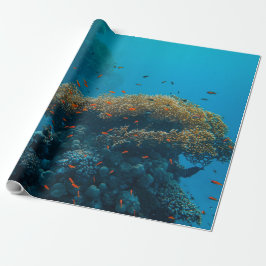 Papel De Presente Peixes E Recifes bonito