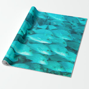 Papel De Presente Peixes tropicais coloridos e recifes de coral no o