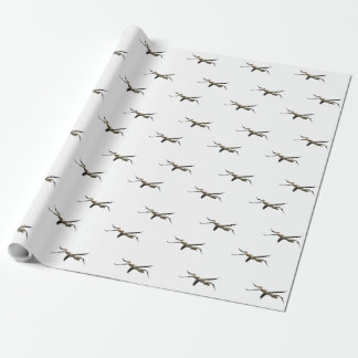Papel De Presente Pelican voador 3