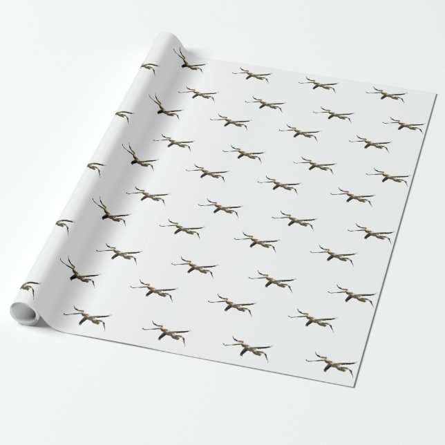 Papel De Presente Pelican voador 3 (Desenrolado)