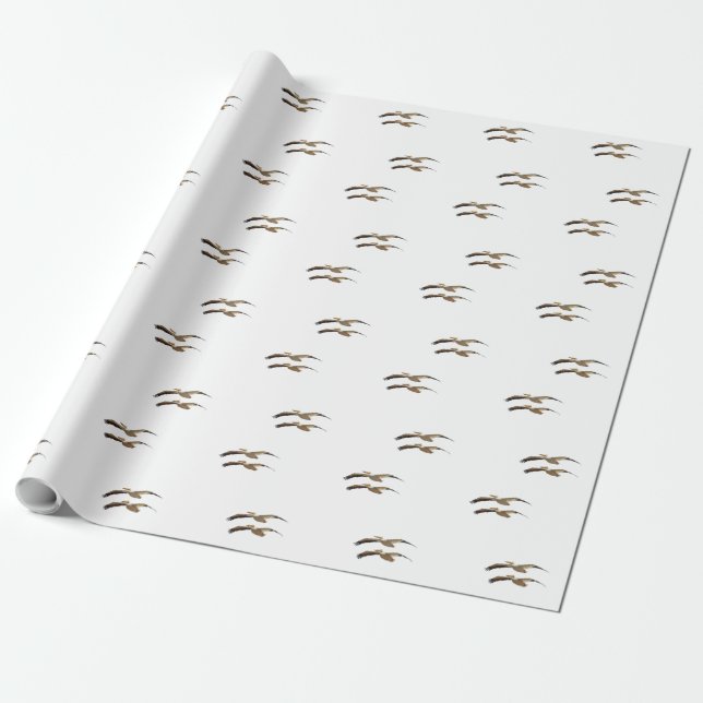 Papel De Presente Pelican voador 4 (Desenrolado)