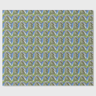 Papel De Presente Penas de Pato Branco Azul, Animal, Pássaro