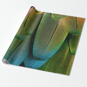Papel De Presente Penas verdes e azuis