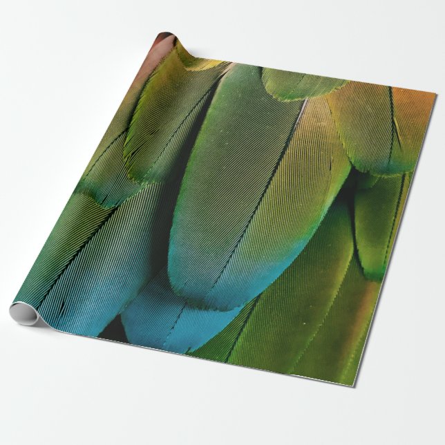 Papel De Presente Penas verdes e azuis (Desenrolado)