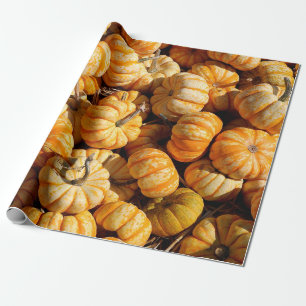 Papel De Presente pequenas abóboras na pilha