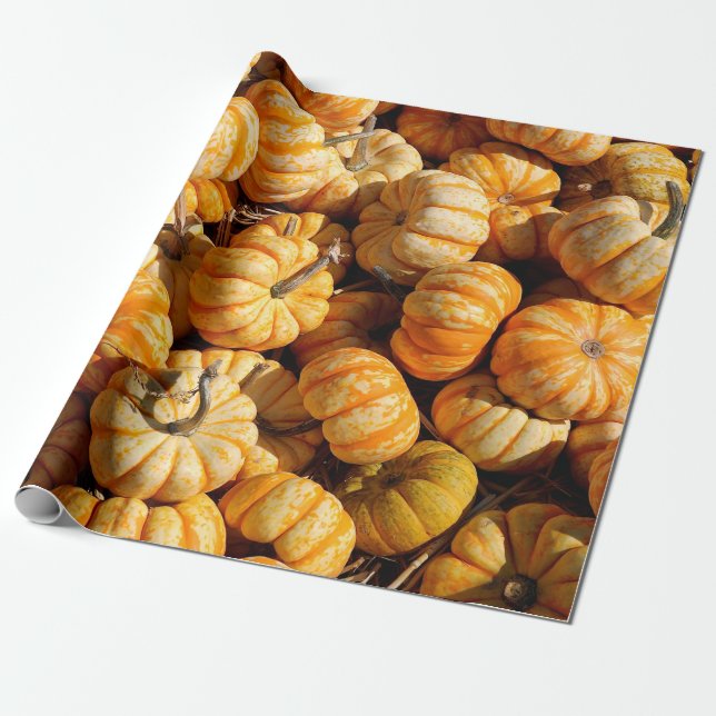 Papel De Presente pequenas abóboras na pilha (Desenrolado)