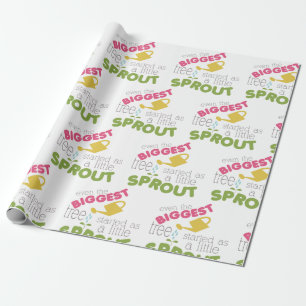 Papel De Presente Pequeno broto