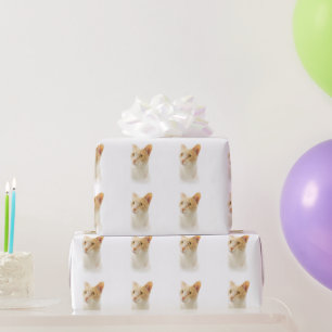 Papel De Presente Pequeno Gato Loiro Maravilhoso