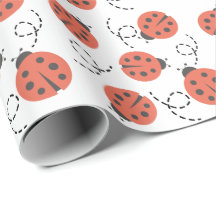 Pequeno Inseto Ladybug