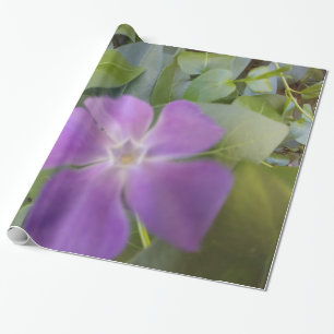 Papel De Presente Pequeno Sangue Roxo