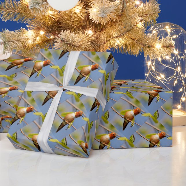 Papel De Presente Perfil de um Hummingbird Rufo (Feriados)