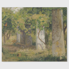 Papel De Presente Pérgola Com Uvas De Vinho (Paisagem De Vinha)