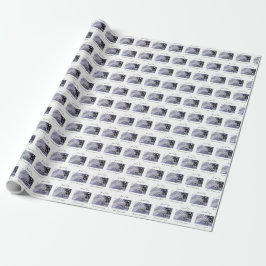 Papel De Presente Personalize, Menino, Primeira Comunhão Azul