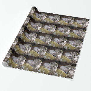Papel De Presente Pet Rat Duncan Wraping Paper