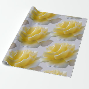 Papel De Presente Pétalas de rosa amarela