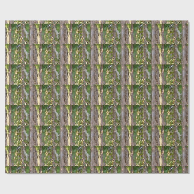 Papel De Presente Picus Viridis - Grünspecht (Aberto)