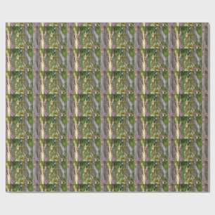 Papel De Presente Picus Viridis - Pica-pau-verde