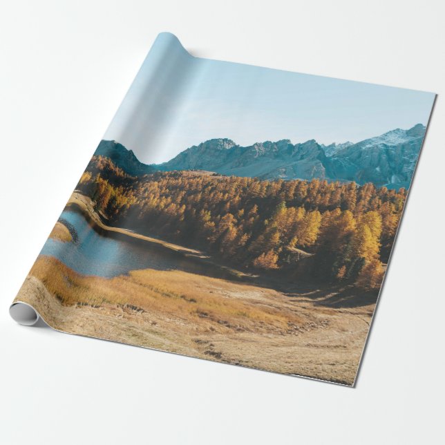 PAPEL DE PRESENTE PINAS ÁRVORES PERTO DO LAGO (Desenrolado)