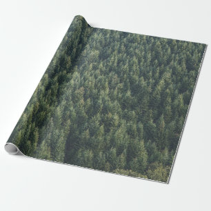 PAPEL DE PRESENTE PINE ÁRVORE FLORESTA