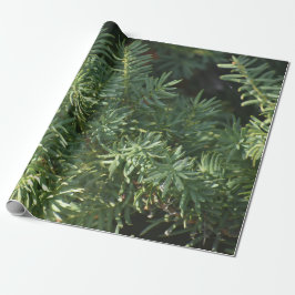 Papel De Presente Pine Forest