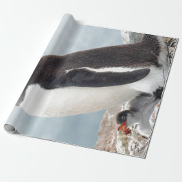 Papel De Presente Pinguim