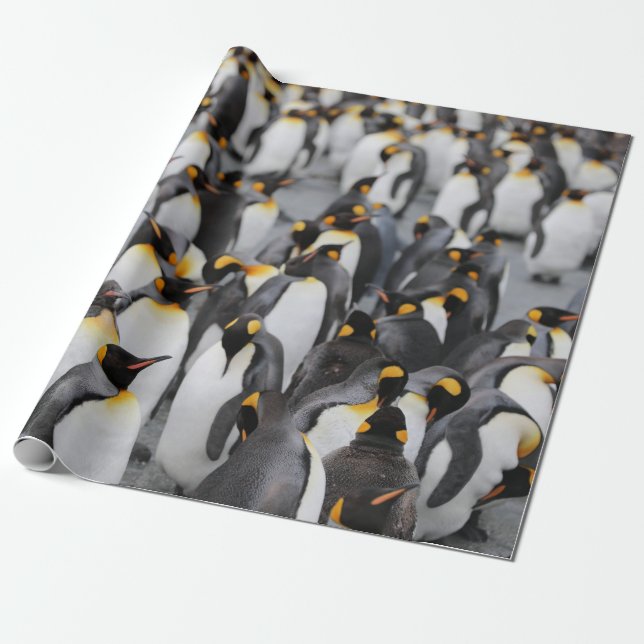 PAPEL DE PRESENTE PINGUINS (Desenrolado)