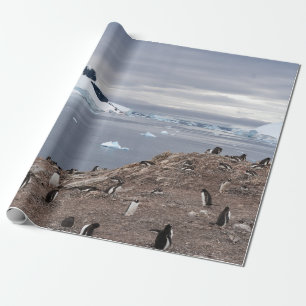 PAPEL DE PRESENTE PINGUINS ALÉM DO MAR