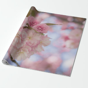 PAPEL DE PRESENTE PINK CHERRY BLOSSOM EM FECHAR FOTOGRAFIA