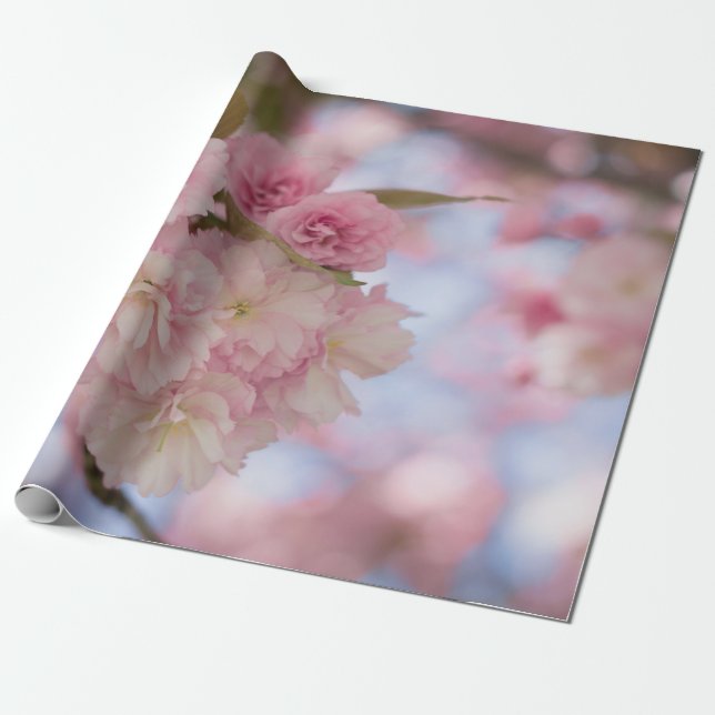 PAPEL DE PRESENTE PINK CHERRY BLOSSOM EM FECHAR FOTOGRAFIA (Desenrolado)