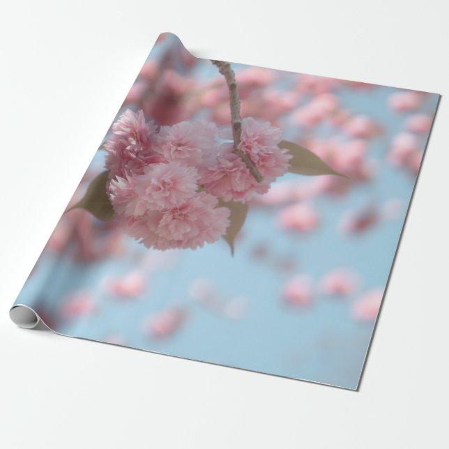 PAPEL DE PRESENTE PINK CHERRY BLOSSOM EM FECHAR FOTOGRAFIA (Desenrolado)