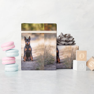 Papel De Presente Pinscher Miniatura Sentado