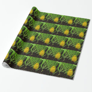 Papel De Presente pintinho