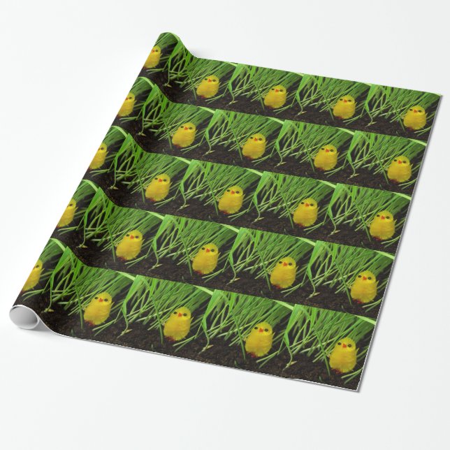 Papel De Presente pintinho (Desenrolado)