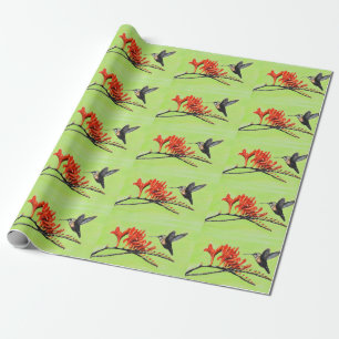 Papel De Presente Pintura de Hummingbird e Crocosmia