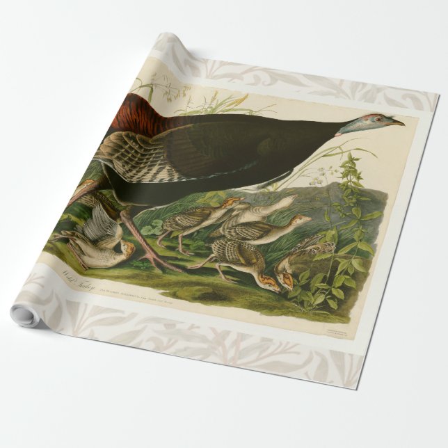 Papel De Presente Pintura de pássaros Selvagens de Audubon na Turqui (Desenrolado)