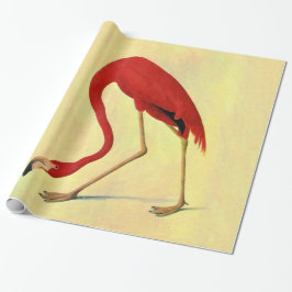 Papel De Presente Pintura em Flamingo Americano Audubon