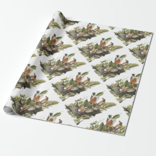 Papel De Presente Pisco de peito vermelho americano por Audubon